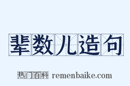 辈数儿造句是什么意思的图片